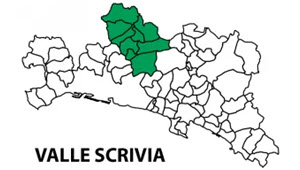 ecoraccoglitore amiu