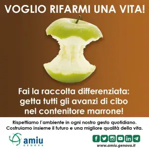 1080X1080_organico_Instagram_rd-300x300_original